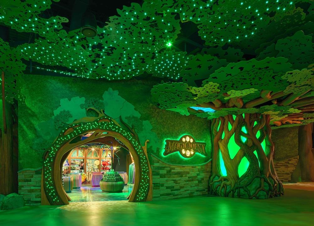 Great Wolf Lodge Webster photo 61