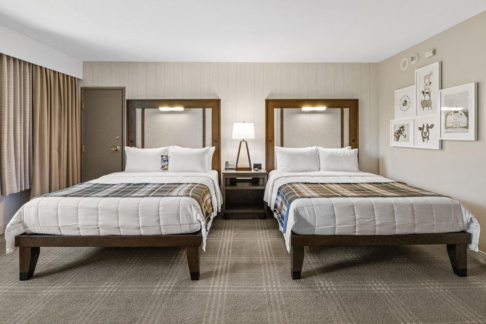 Knott's Hotel photo 7