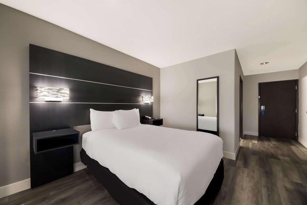 Best Western SeaWorld San Antonio photo 22