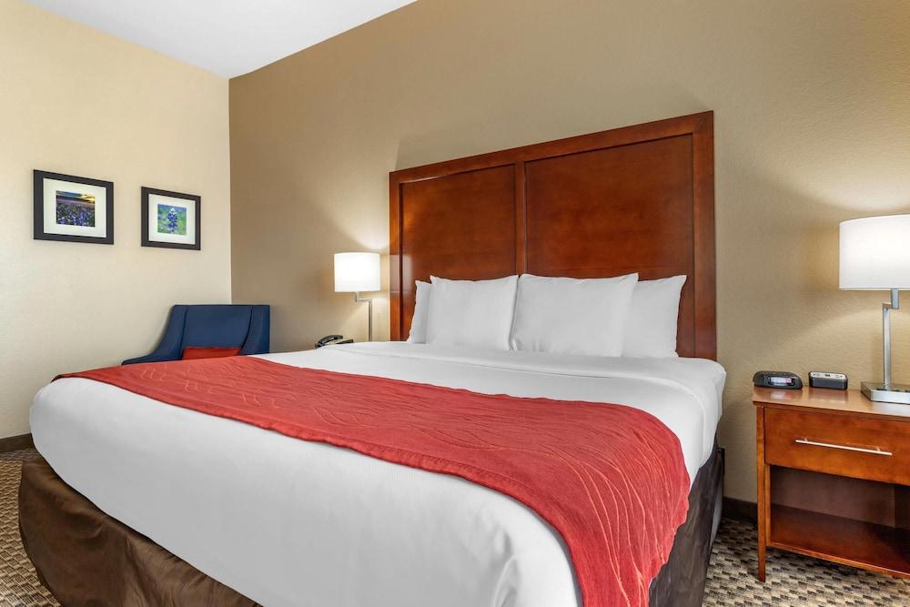 Comfort Inn & Suites Navasota photo 7