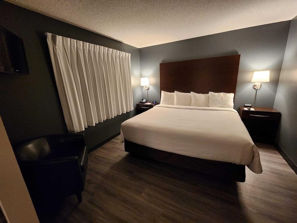 Park Inn photo 8