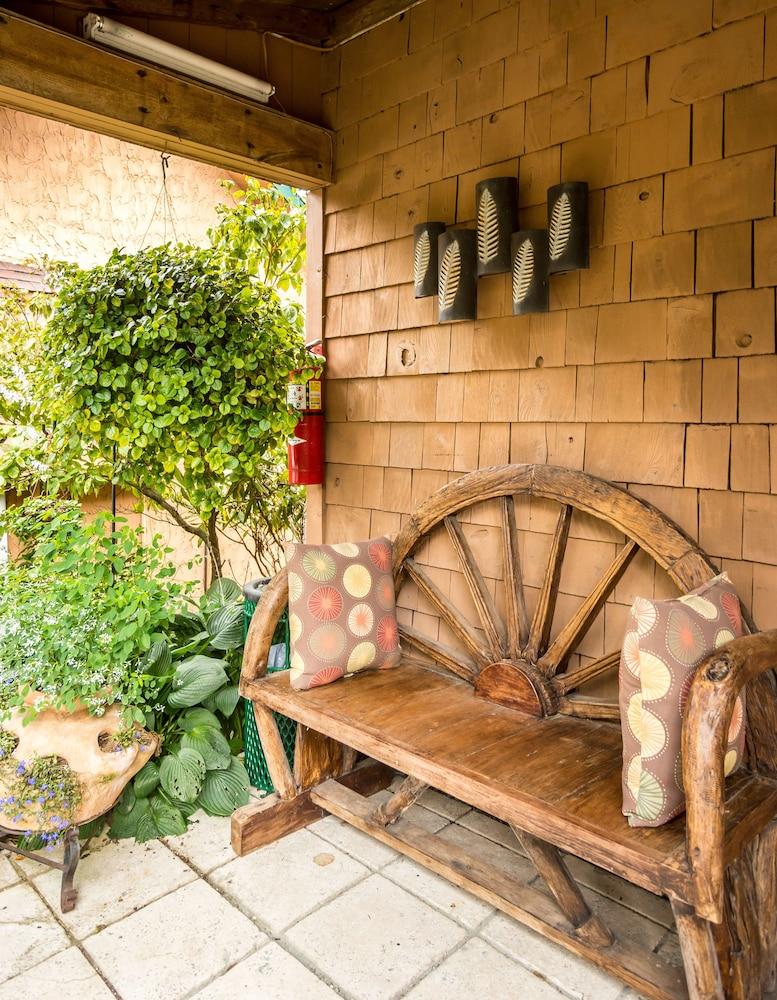 Hemlock Inn photo 11