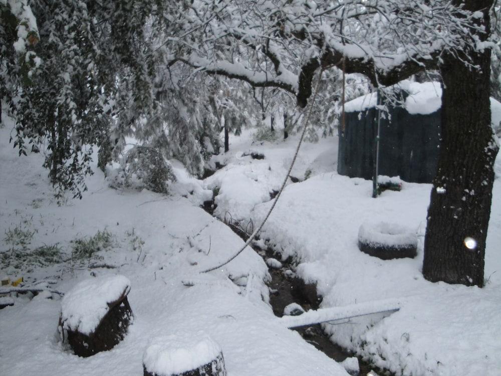 Evergreen Haus photo 72