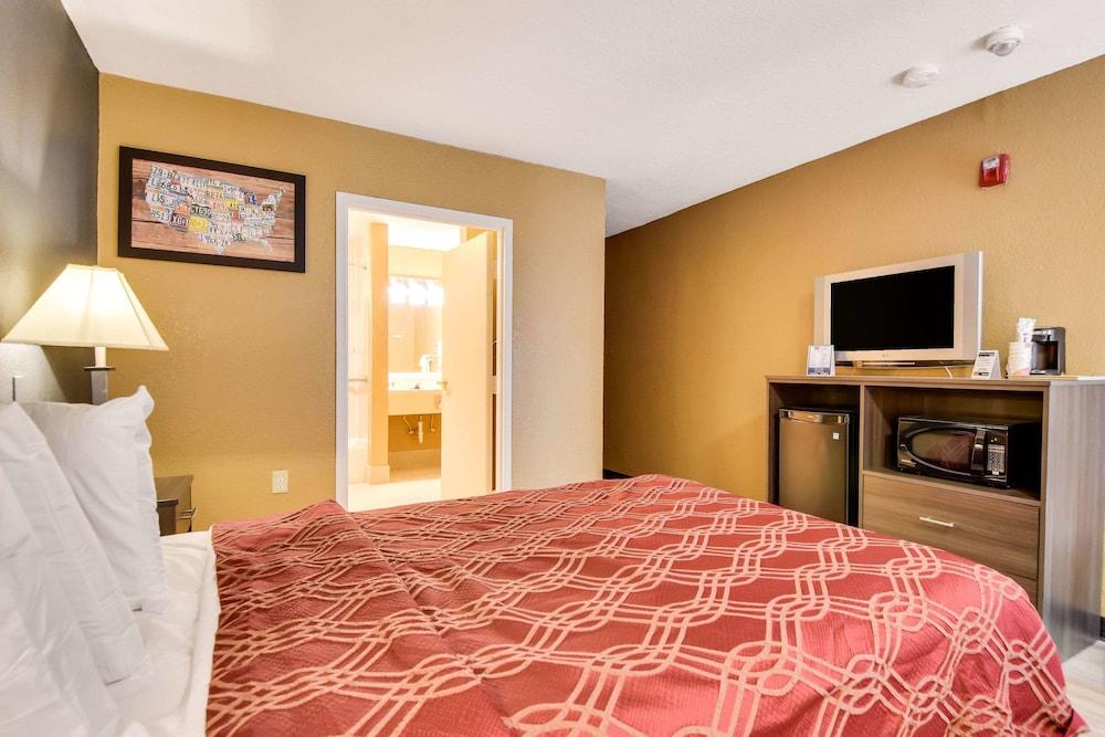 Econo Lodge Tampa near Busch Gardens photo 39