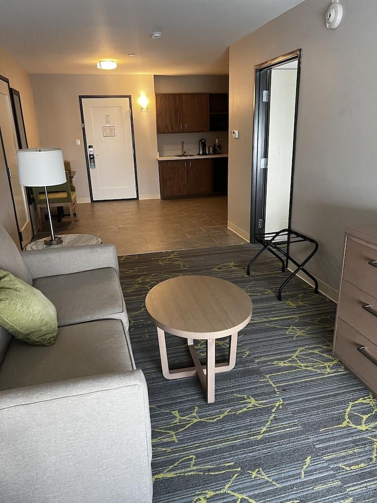 Holiday Inn & Suites Houston NW - Willowbrook by IHG photo 23