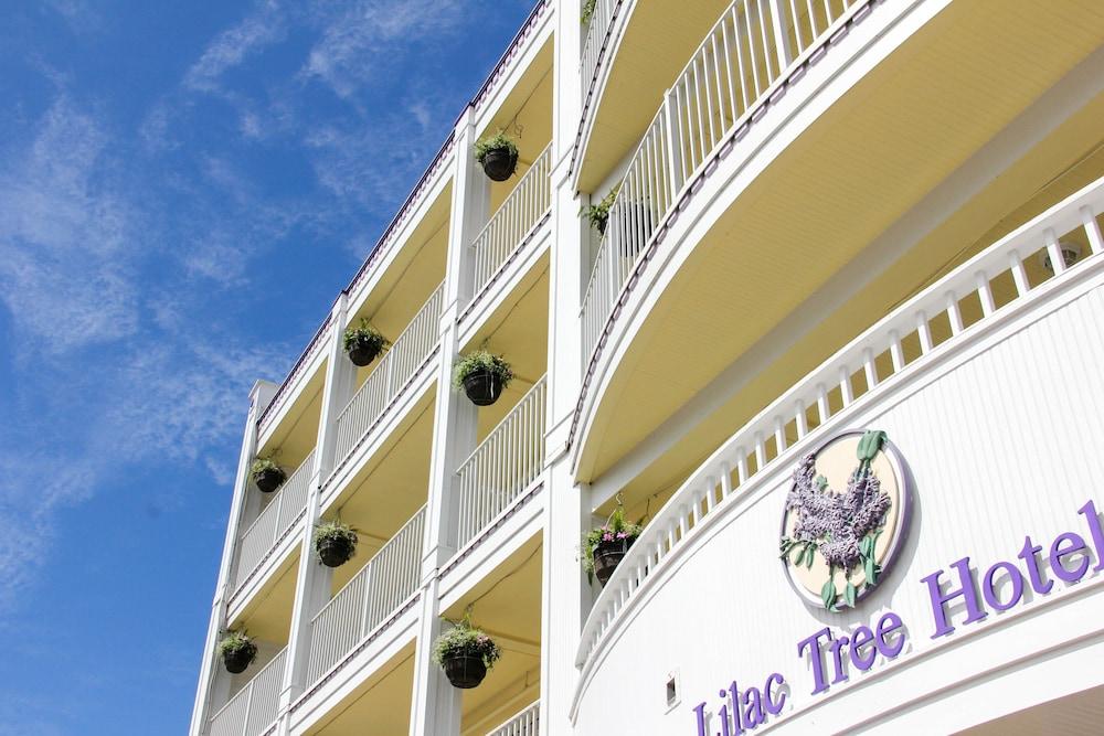 Lilac Tree Suites photo 17