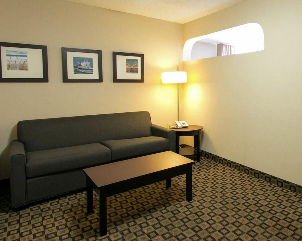Comfort Suites Benton Harbor - St. Joseph photo 15