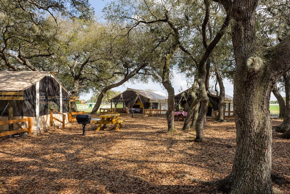 Westgate River Ranch Resort & Rodeo photo 63