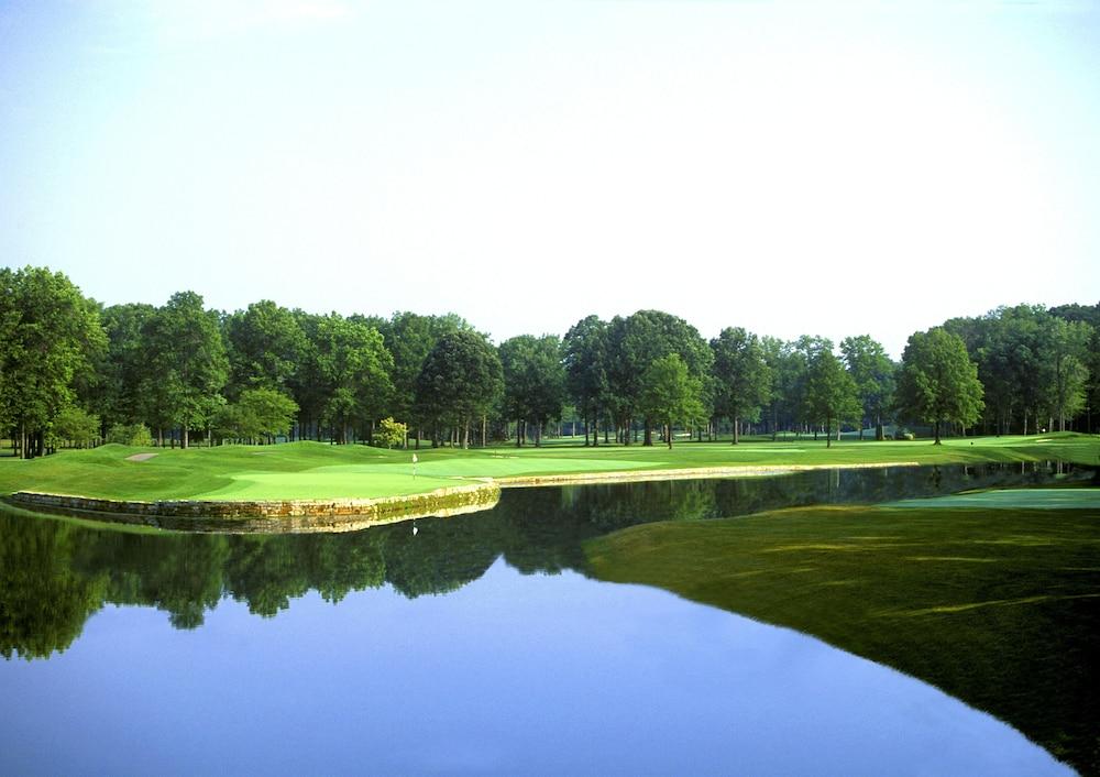 The Grand Resort photo 50