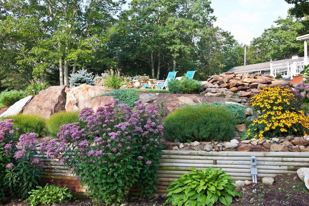 Mount Battie Inn photo 50