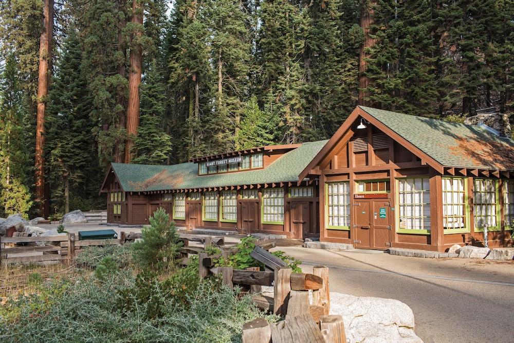 Wuksachi Lodge photo 54
