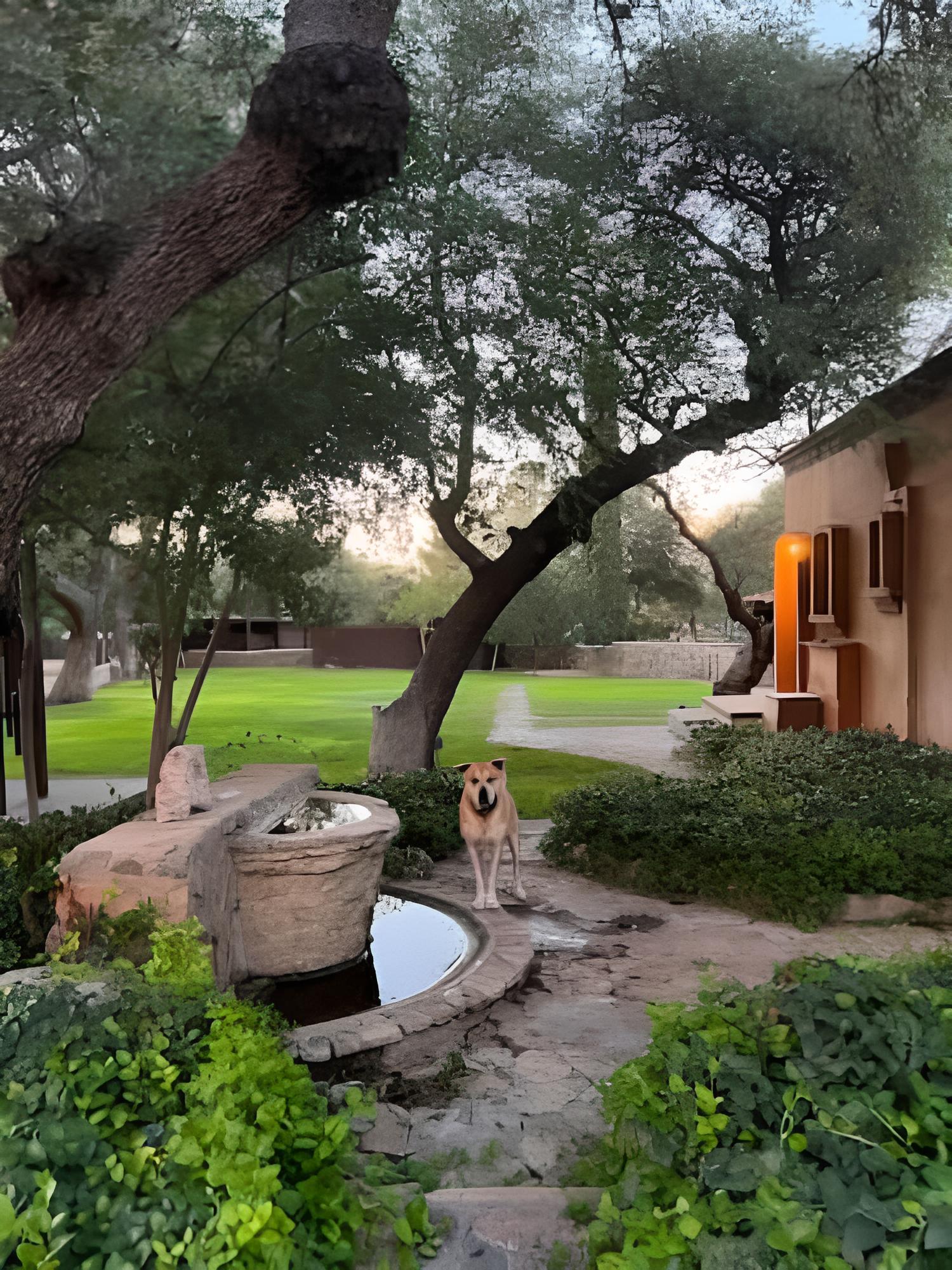 El Rancho Robles photo 35