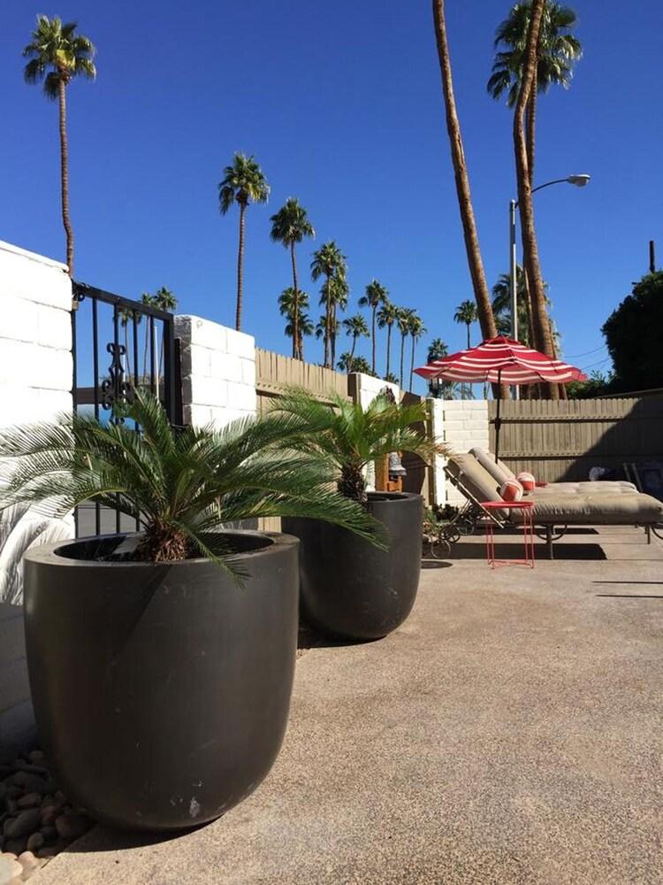 The Village Palm Desert photo 13