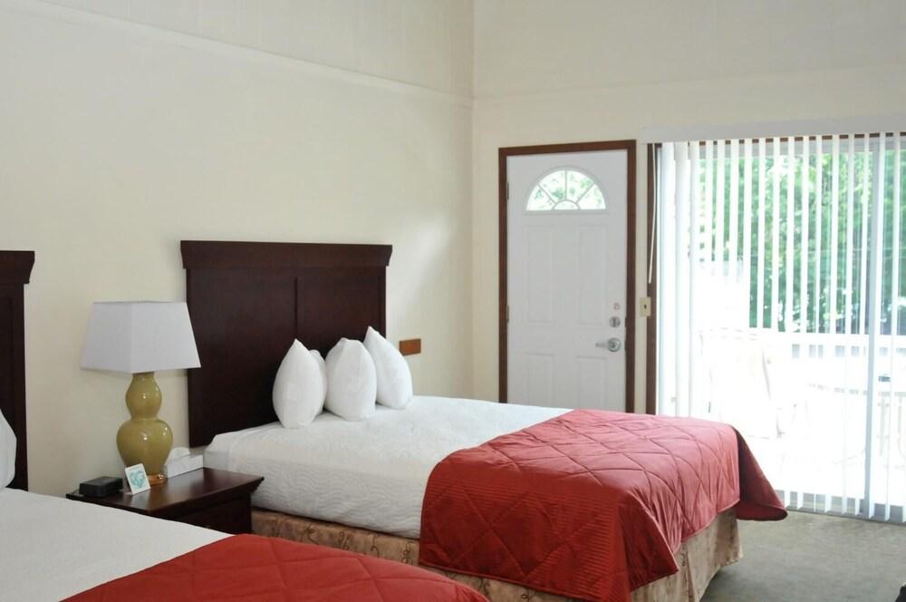 Tea Island Resort photo 4