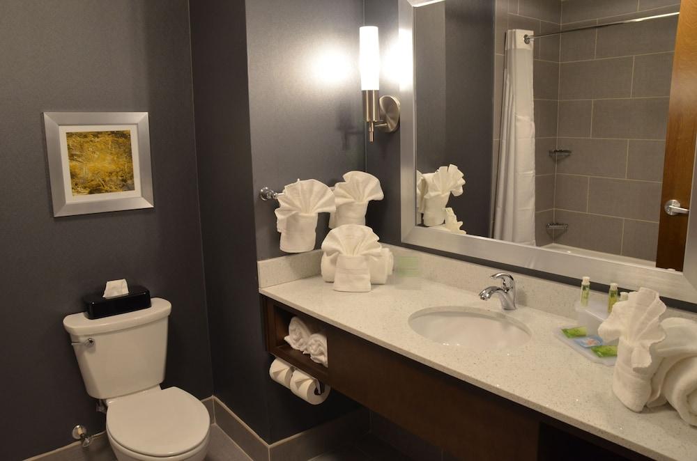 Holiday Inn Express Hotel & Suites Albany by IHG photo 35