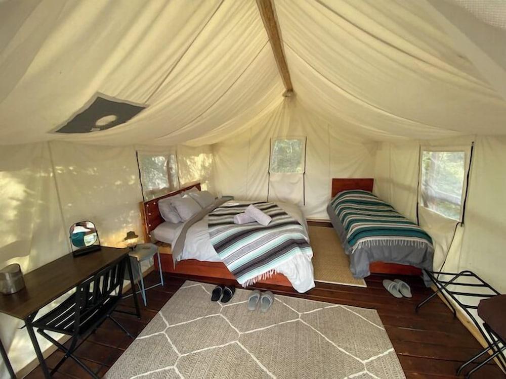 Alpenglow Luxury Camping photo 5