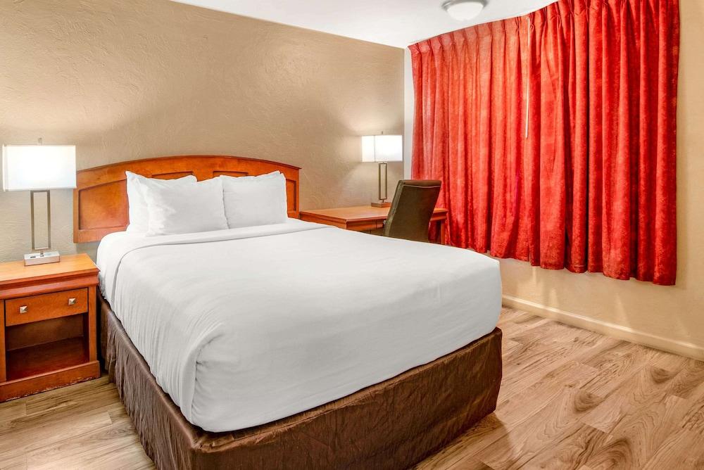 Econo Lodge  Inn & Suites Durango photo 10