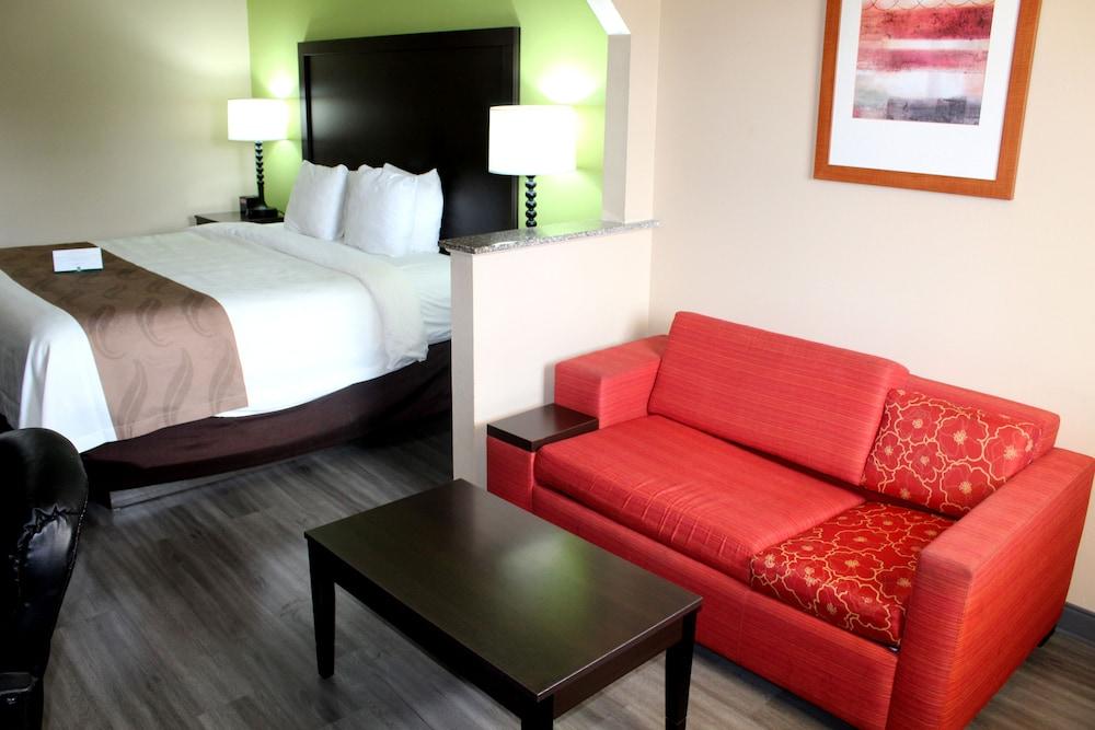 Quality Inn & Suites Dublin photo 11