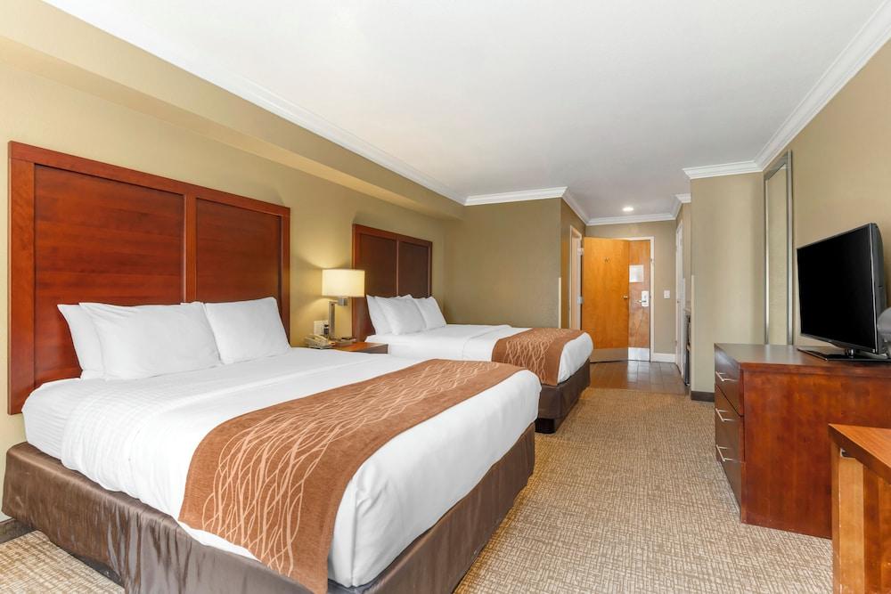 Comfort Inn Arcata - Humboldt Area photo 7