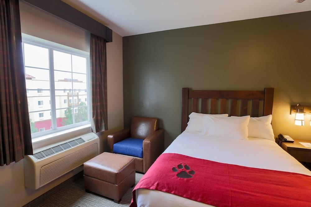 Great Wolf Lodge Illinois photo 19