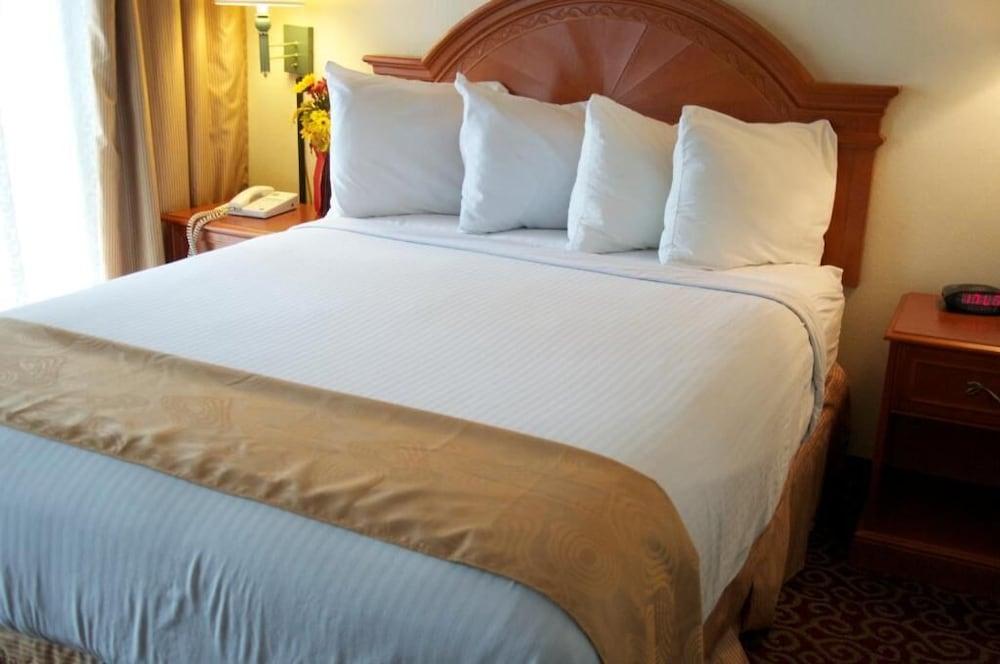 Barcelona Suites photo 26