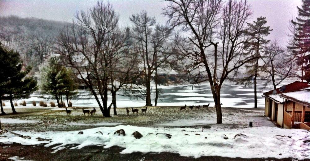 Lake Harmony Inn photo 44
