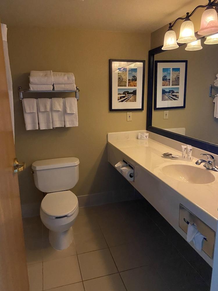 Country Inn & Suites by Radisson, Dundee, MI photo 16