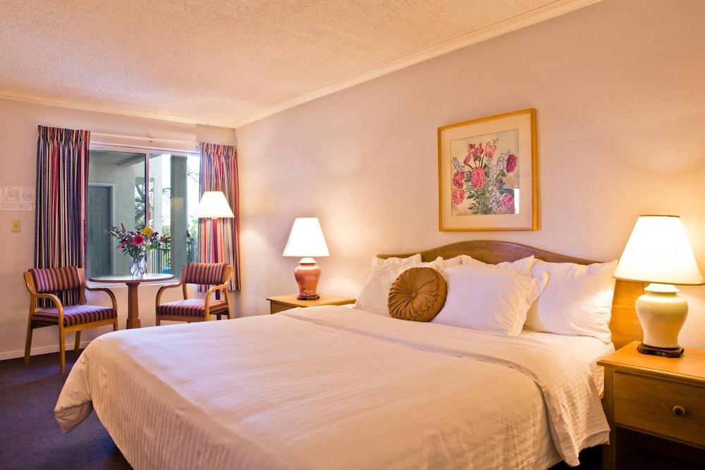 Hotel Buena Vista photo 10