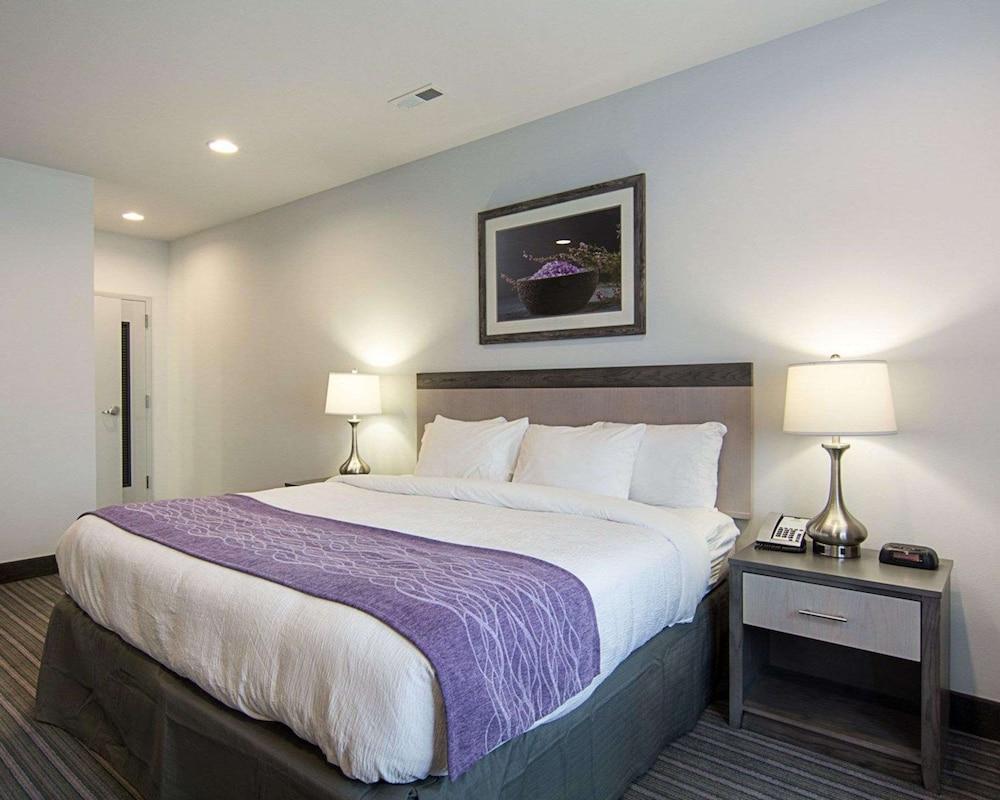 Comfort Inn Williamsburg Gateway photo 19