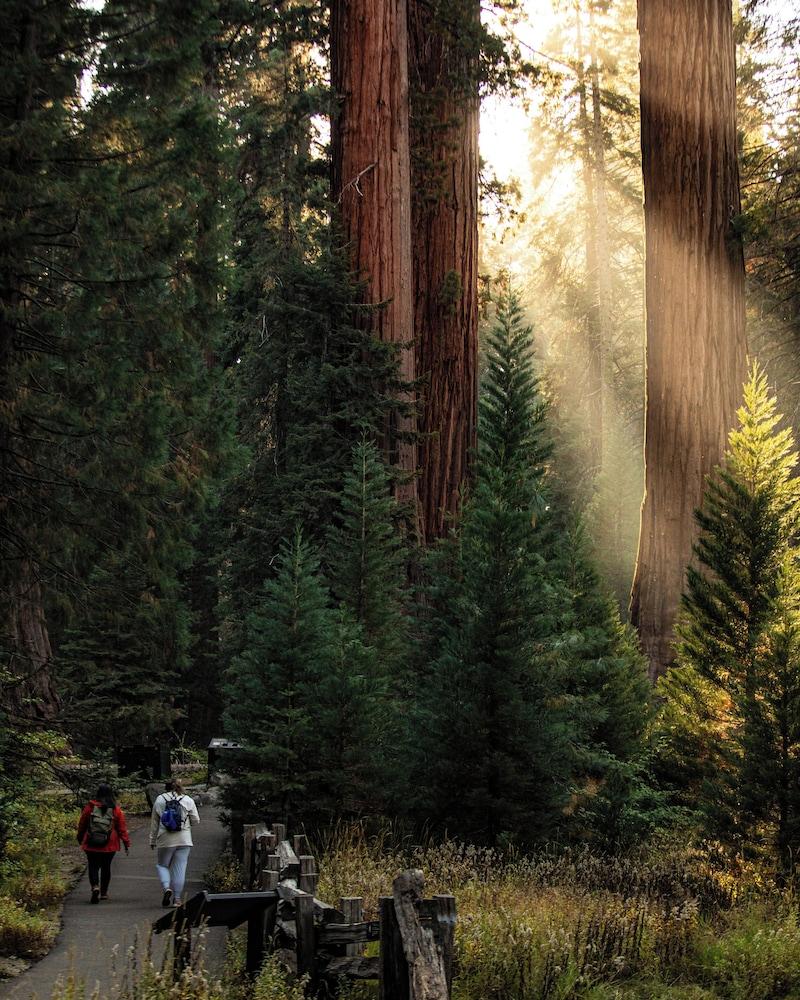 John Muir Lodge photo 60