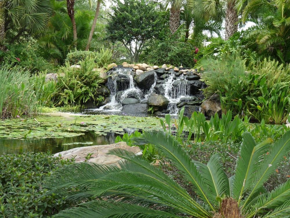 Bahama Bay Resort Orlando photo 18
