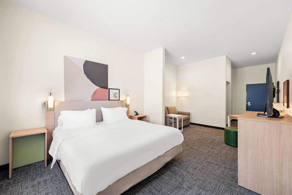 Spark by Hilton Mansfield photo 15