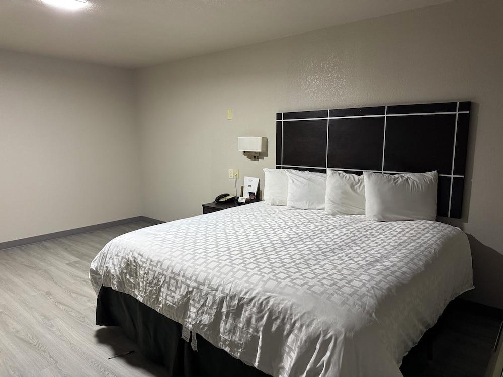 Executive Inn Crystal City photo 13