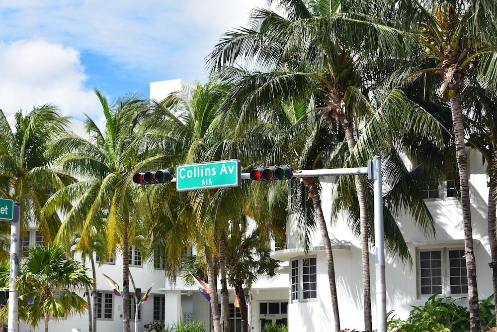 Casa SOBE photo 8