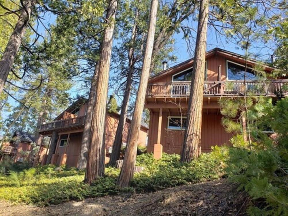 The Pines Resort photo 60