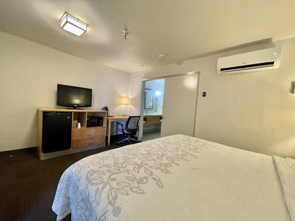 Red Roof Inn PLUS+ & Suites Tampa photo 12