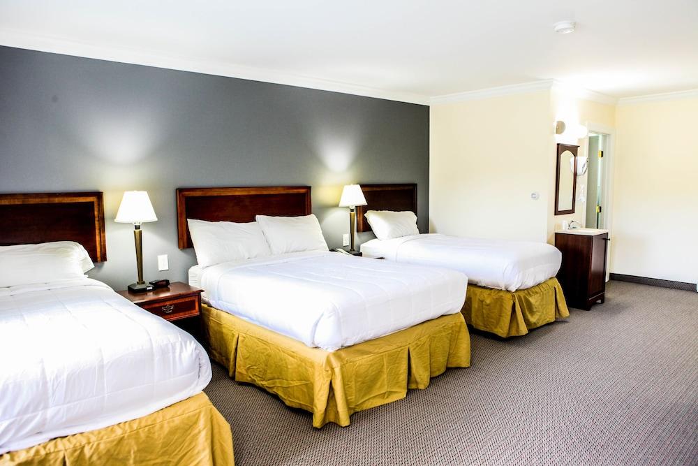 Moonlight Inn photo 8