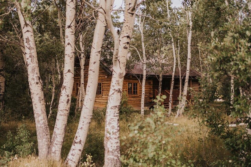 Boulder Lake Lodge photo 6