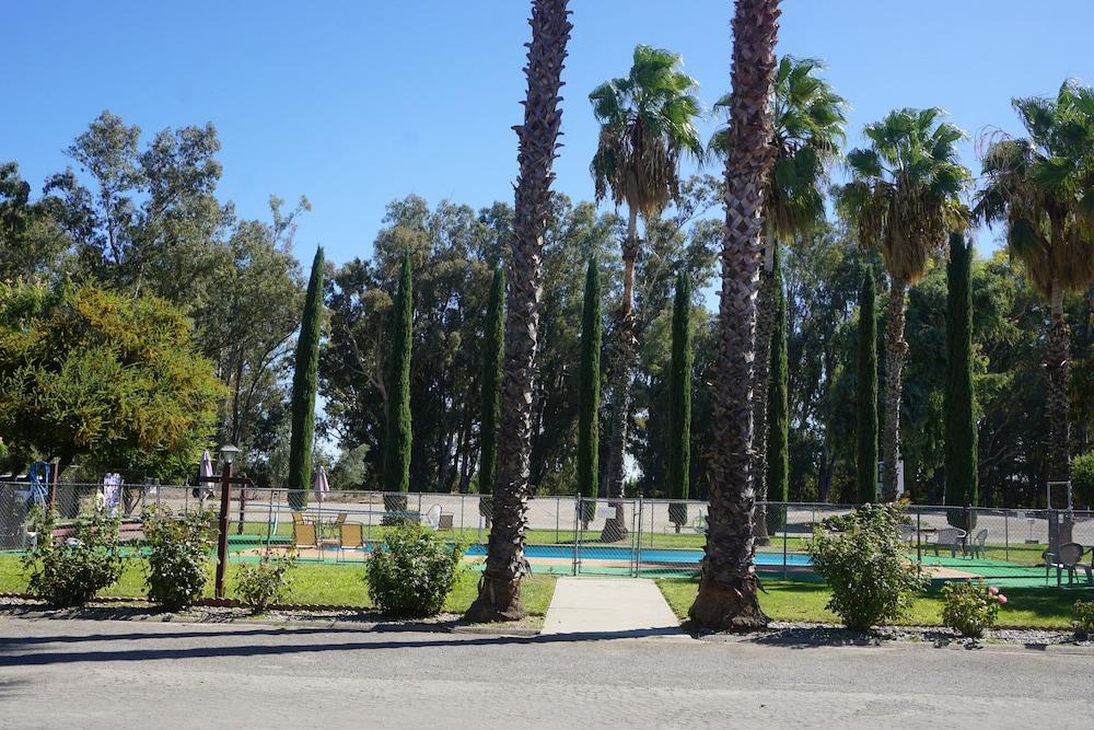 Blue Gum Motel photo 28