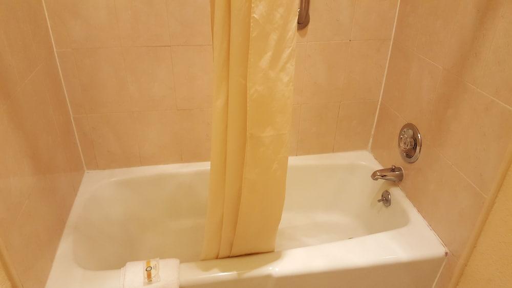 Econo Lodge Tampa near Busch Gardens photo 17