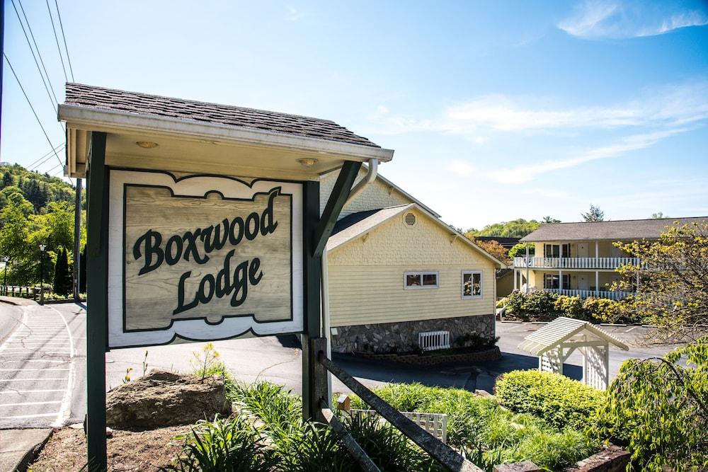 Boxwood Lodge photo 90
