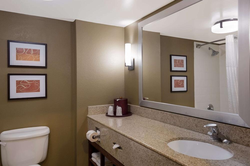 Comfort Suites Near University photo 20