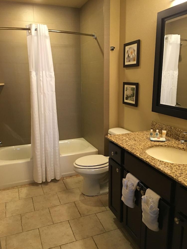 Comfort Inn Bentonville - Crystal Bridges photo 19