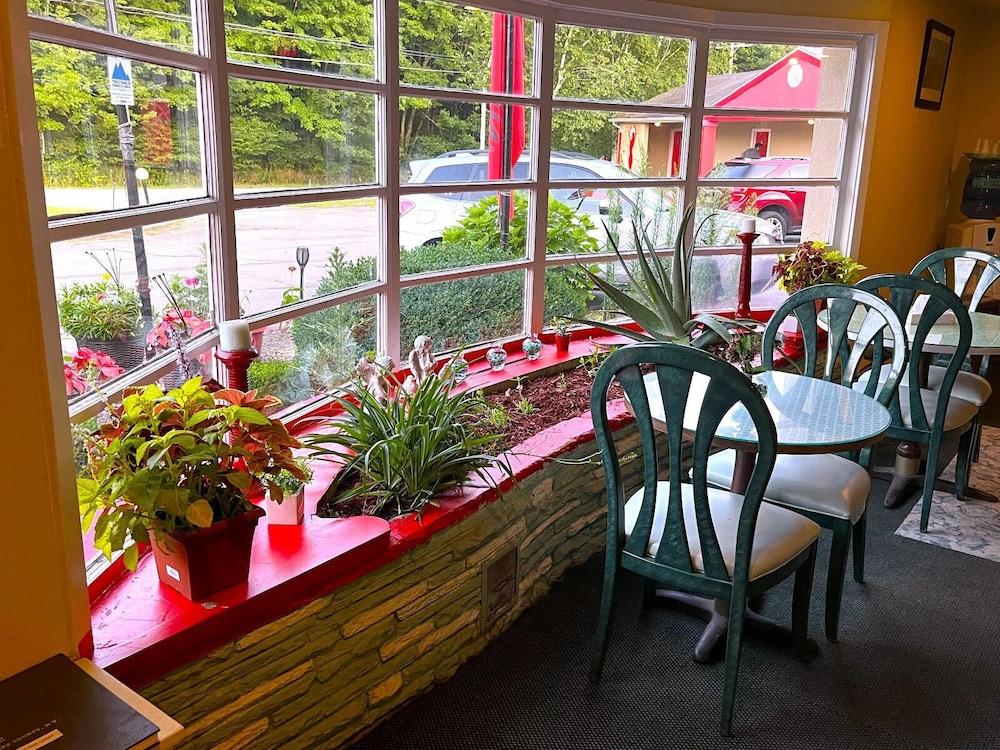 BUENA VISTA INN photo 3