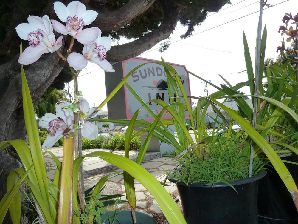 Sundown Inn photo 17