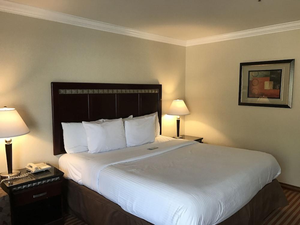 Oak Tree Inn photo 12