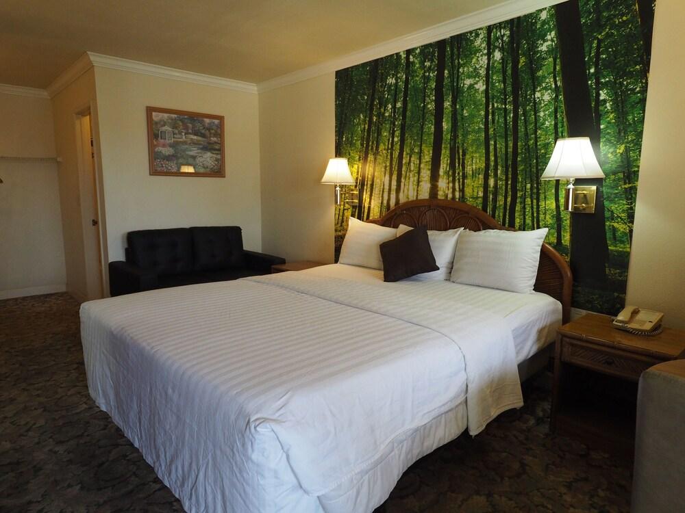Grand Inn photo 10