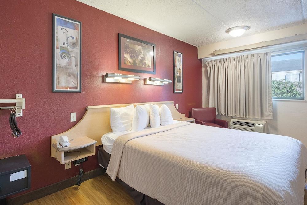 Rodeway Inn Tampa near Busch Gardens - USF photo 17