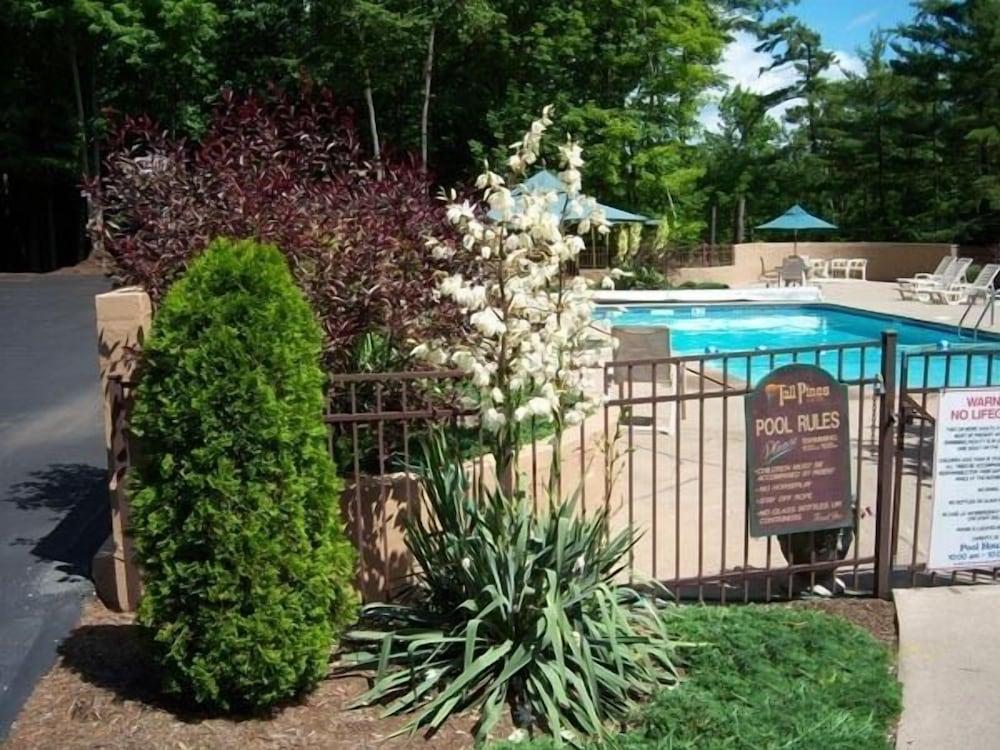 Tall Pines Motel photo 16