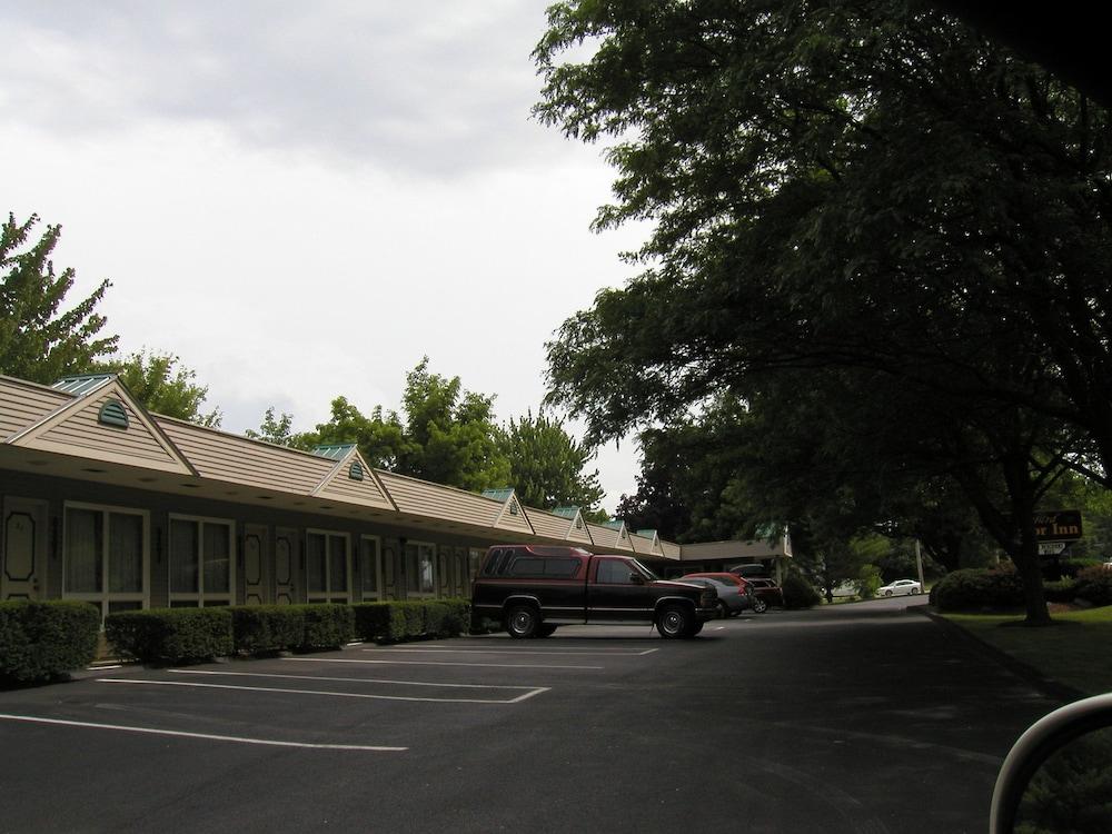 T-Bird Motor Inn photo 41
